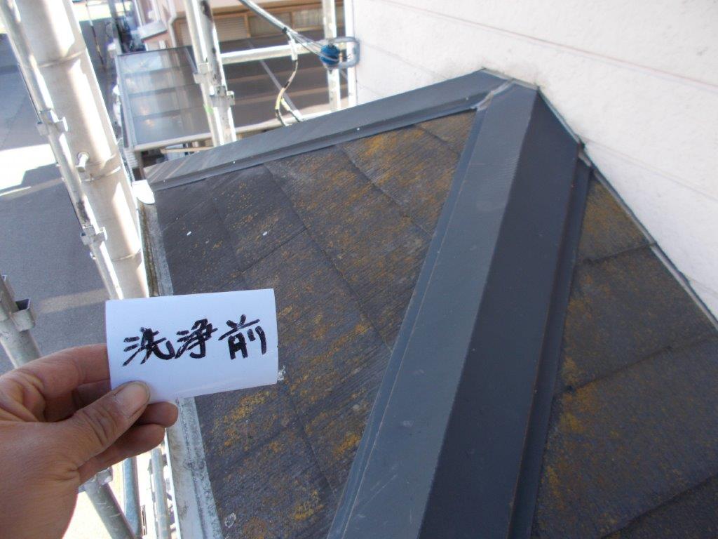 下屋根の洗浄前