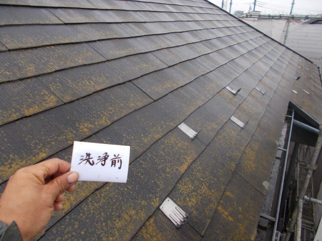 屋根の洗浄前