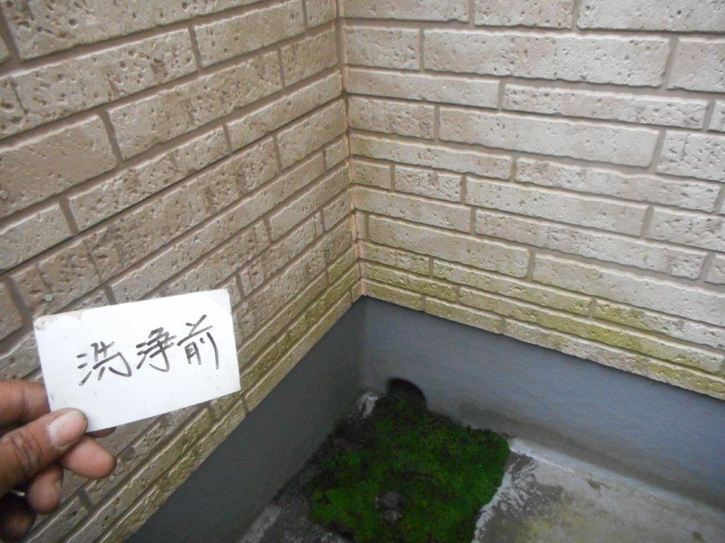 外壁の洗浄前