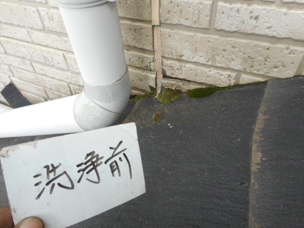 下屋根の洗浄前